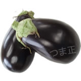 米茄子 米茄子