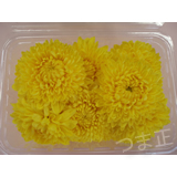 食用菊 食用菊