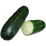 加賀太胡瓜 加賀太胡瓜