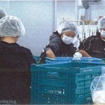 2011taiken (9)