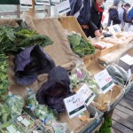 20120129-tokushima (19)