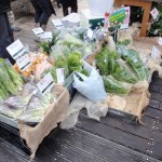 20120129-tokushima (20)