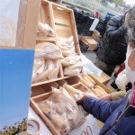 20120129-tokushima (22)