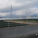 20120129-tokushima (23)