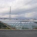 20120129-tokushima (24)