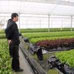 20120129-tokushima (27)