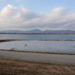20120129-tokushima (44)
