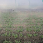 20120129-tokushima (46)
