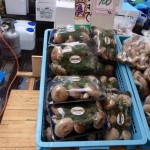 20120129-tokushima (9)