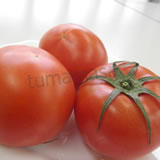 f-tomato160 f-tomato160