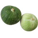 mallow160