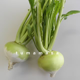 touyama160