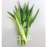 youngcorn160