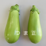 青茄子160